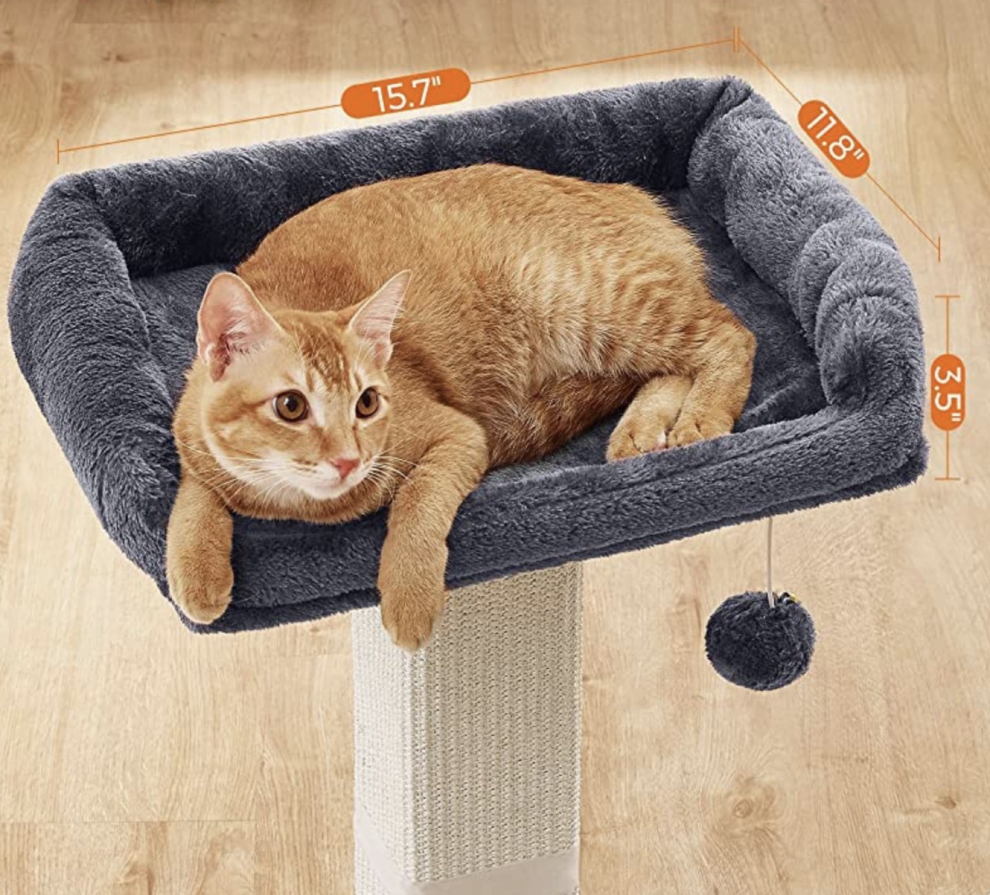 Cat scratch post image indicator(3)