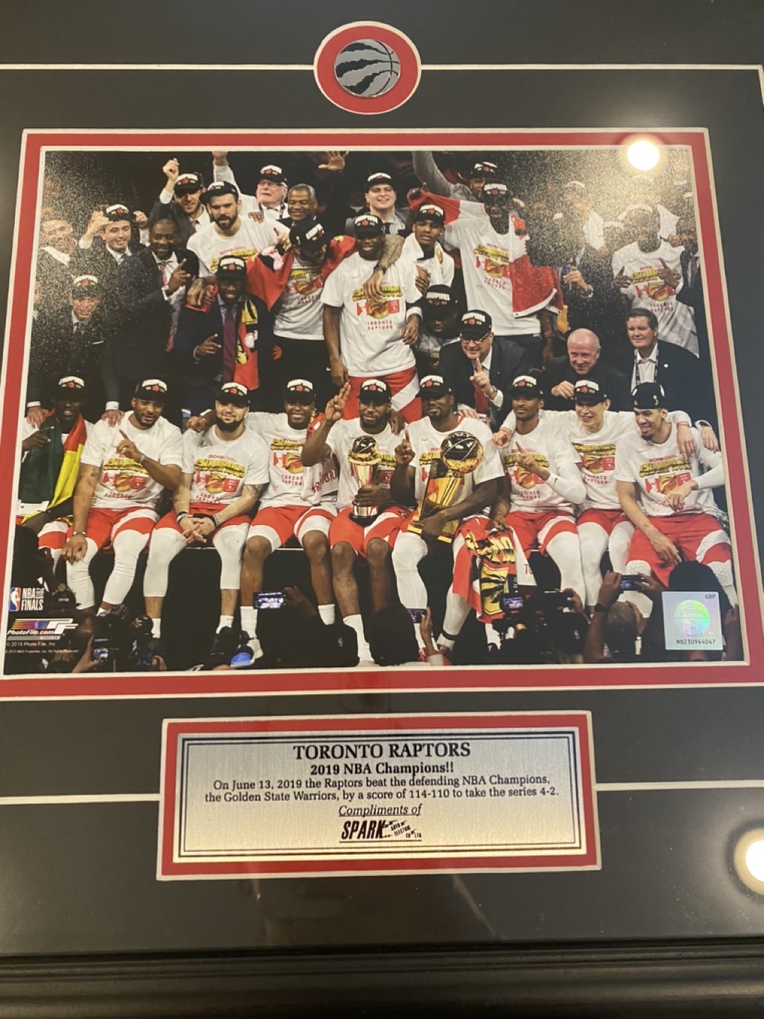 Toronto raptors