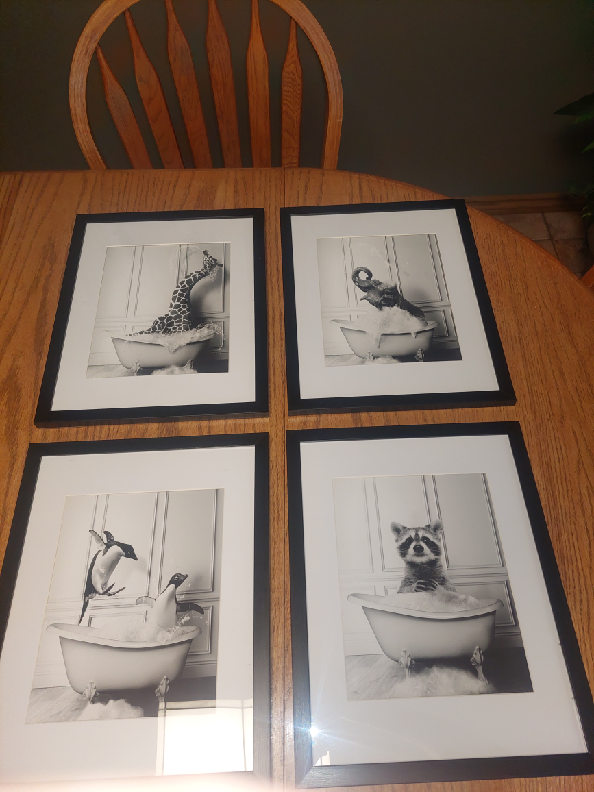 Framed Bathroom pictures  thumbnail