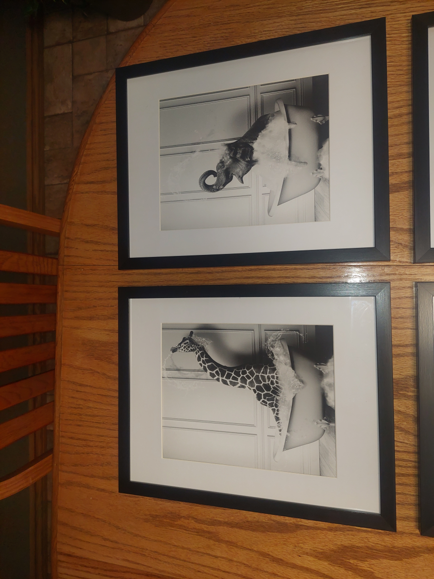 Framed Bathroom pictures  - photo 2