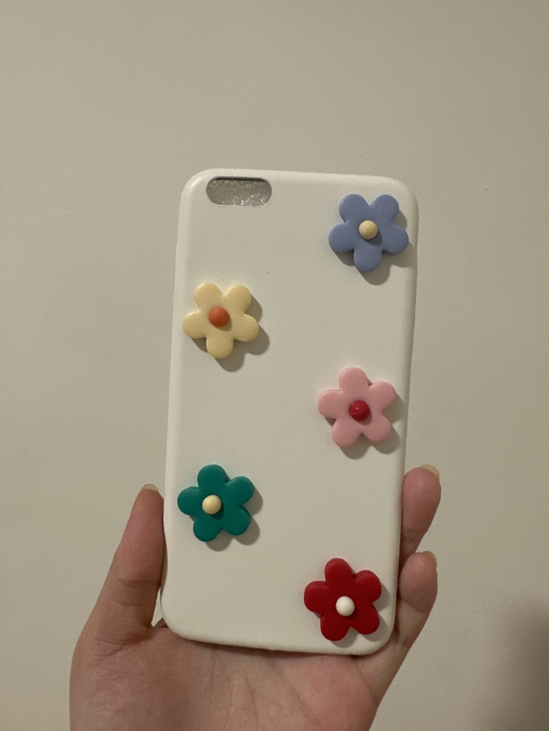 IPhone 6 Plus phone case