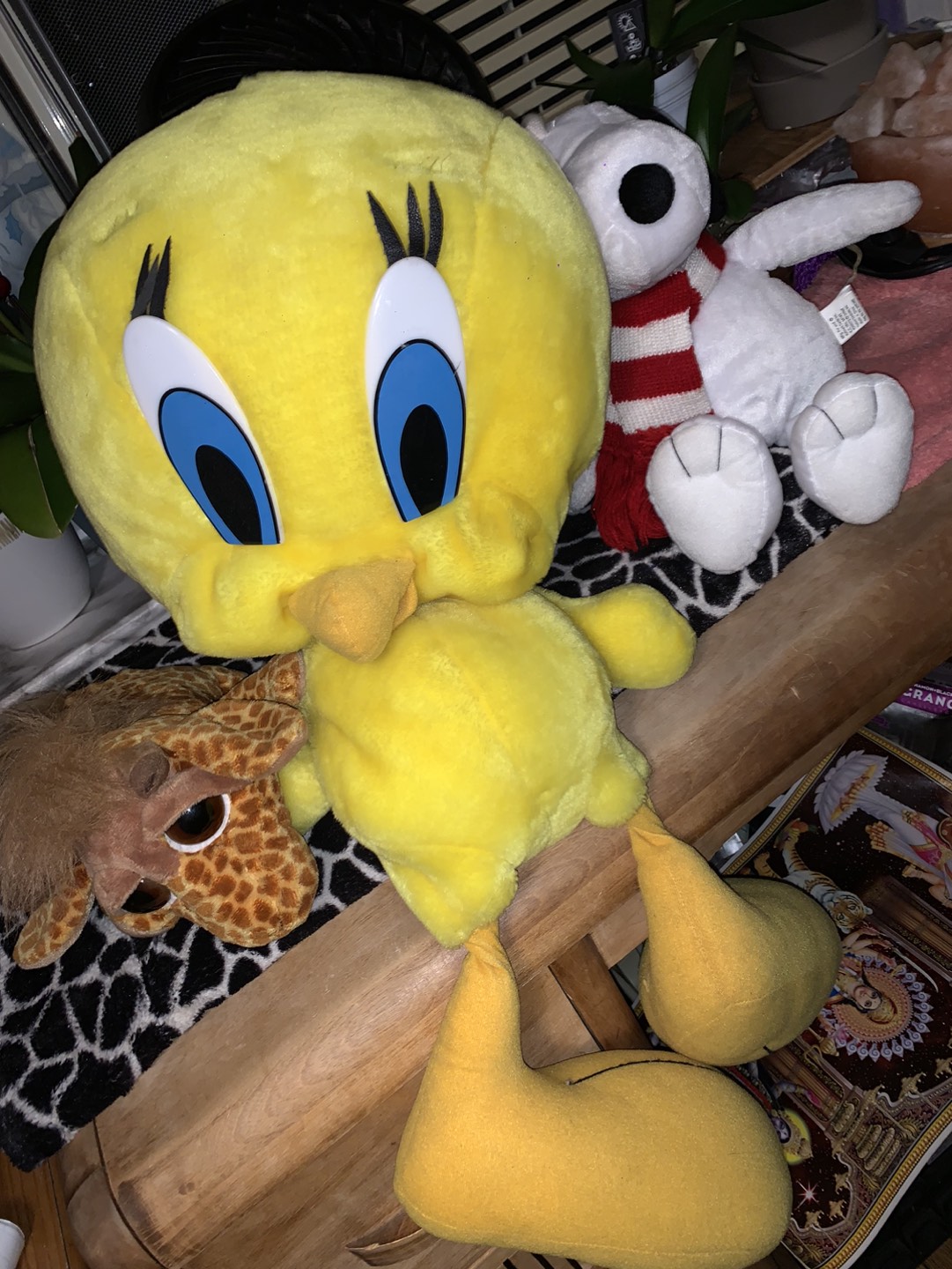💰Tweety bird plush toy needs a new 🏠 for others See other posts image indicator(2)