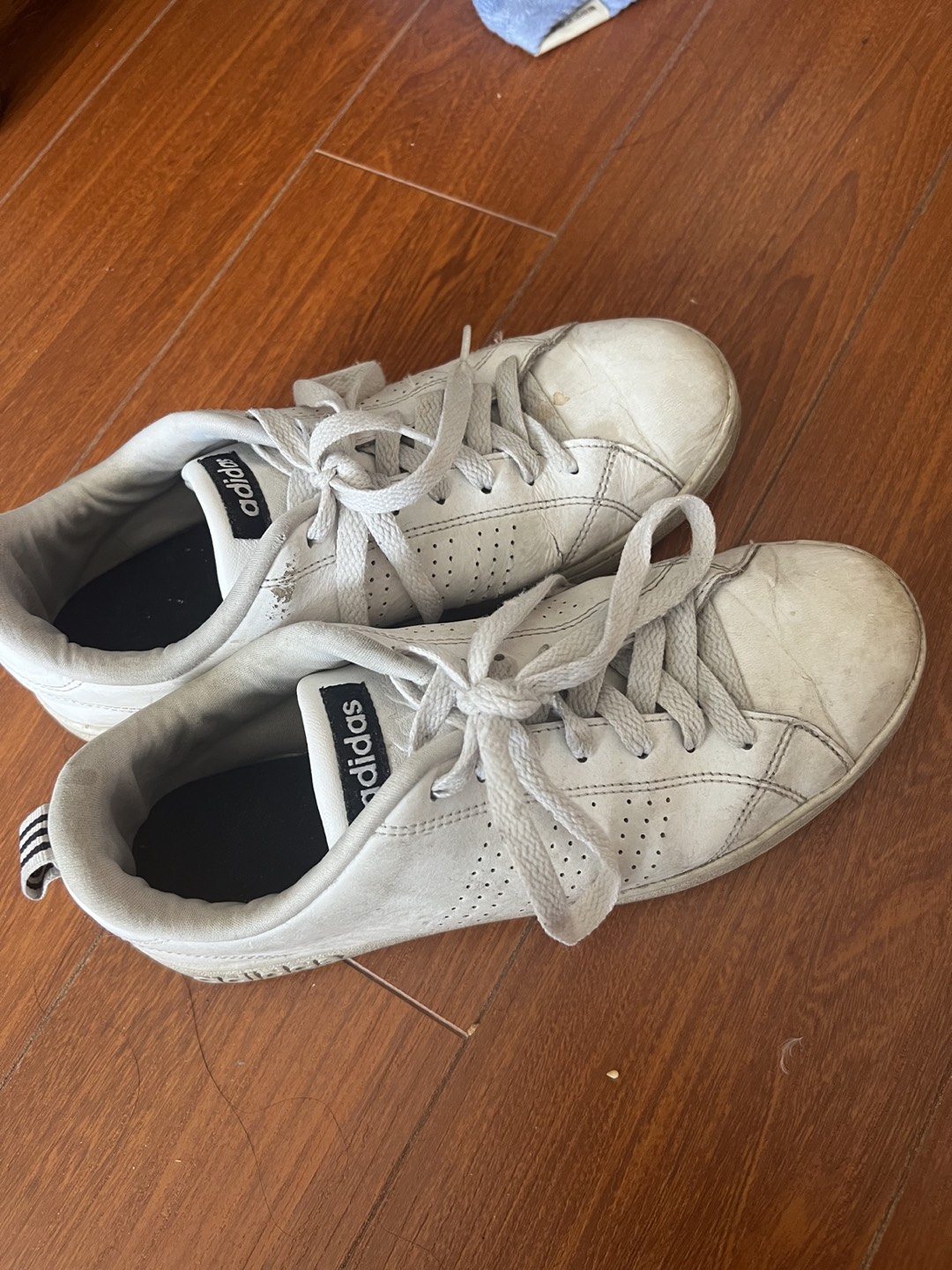 Free adidas (women size 8)
