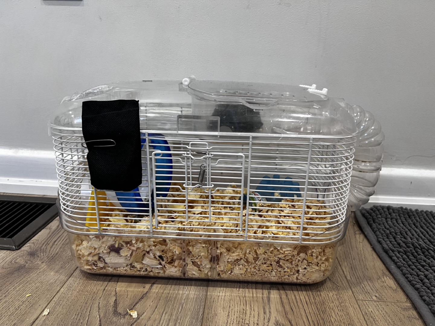Hamster cage and everything #freecycle thumbnail