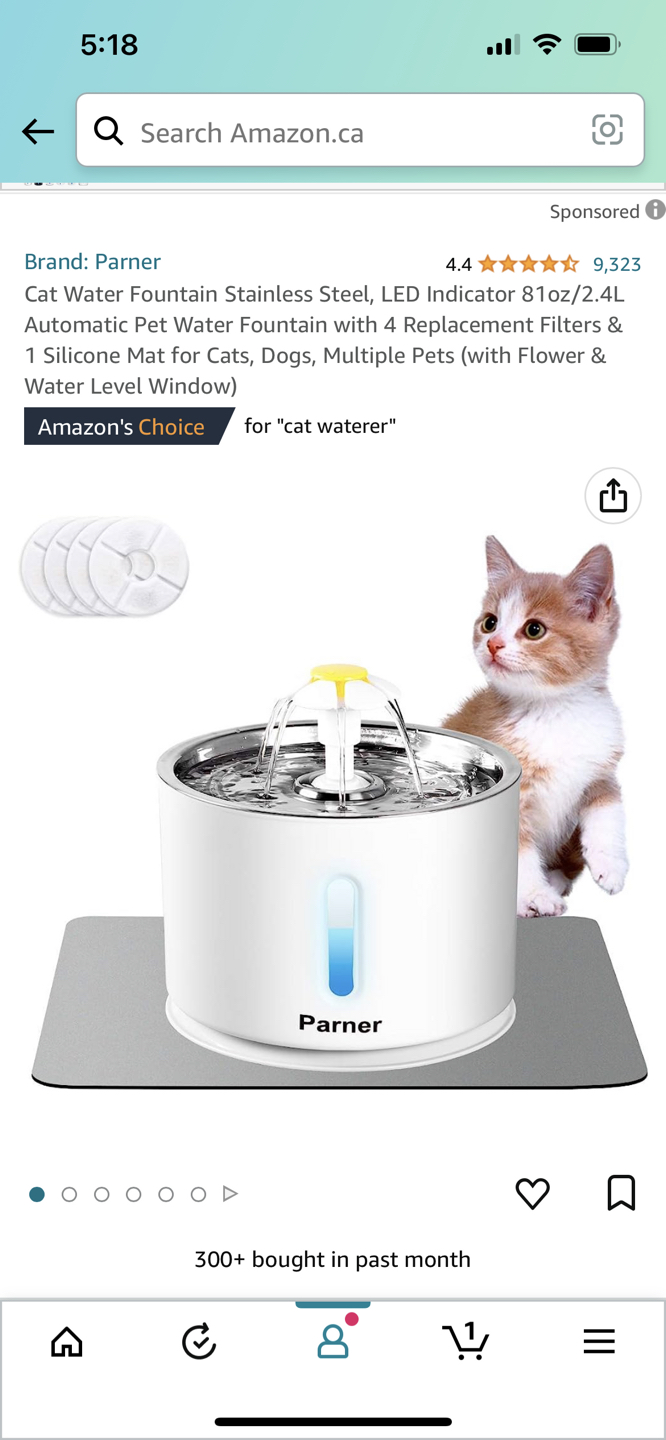 Cat water fountain with extra filters