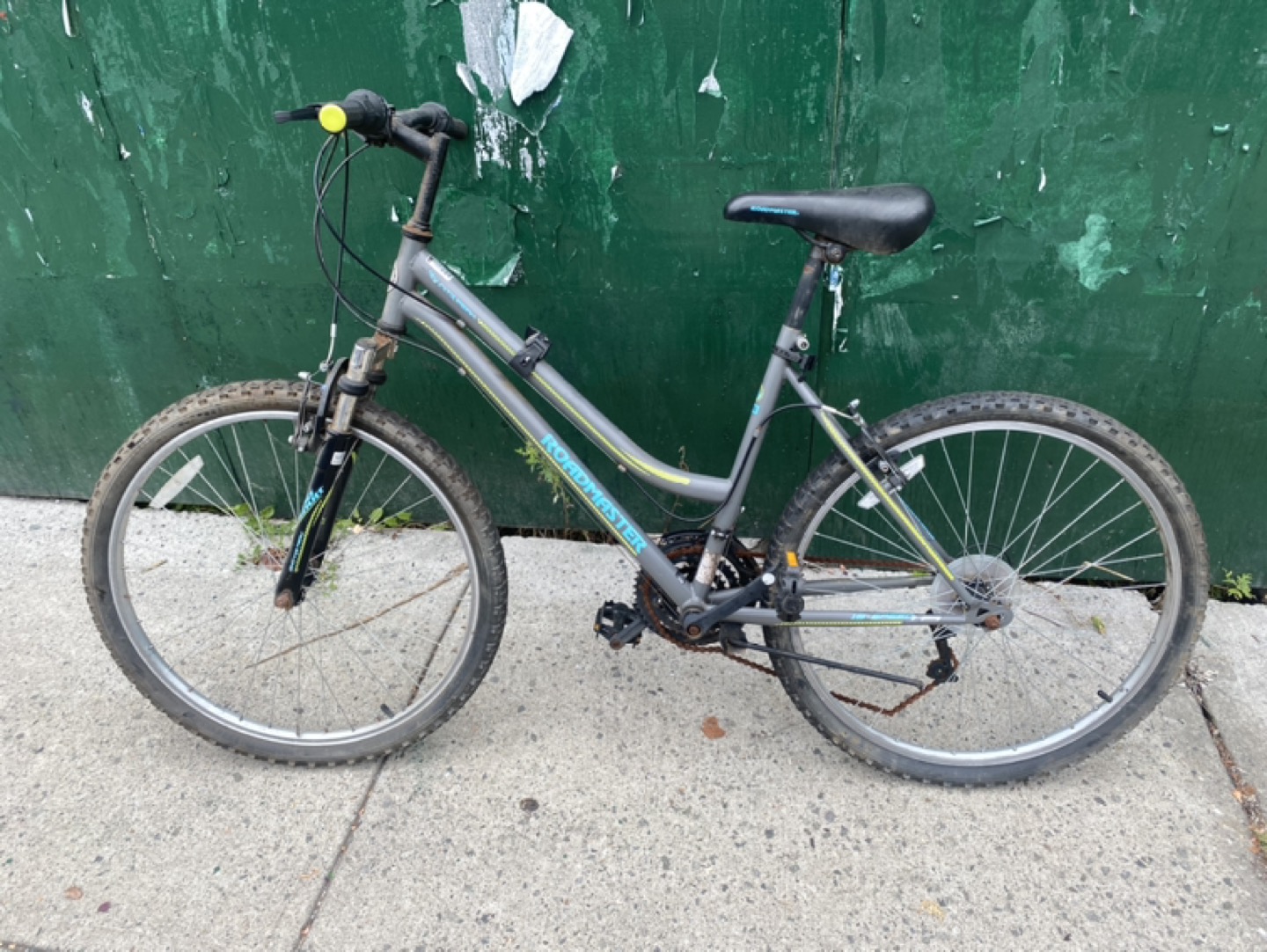 Women’s Mountain Bike Medium Frame