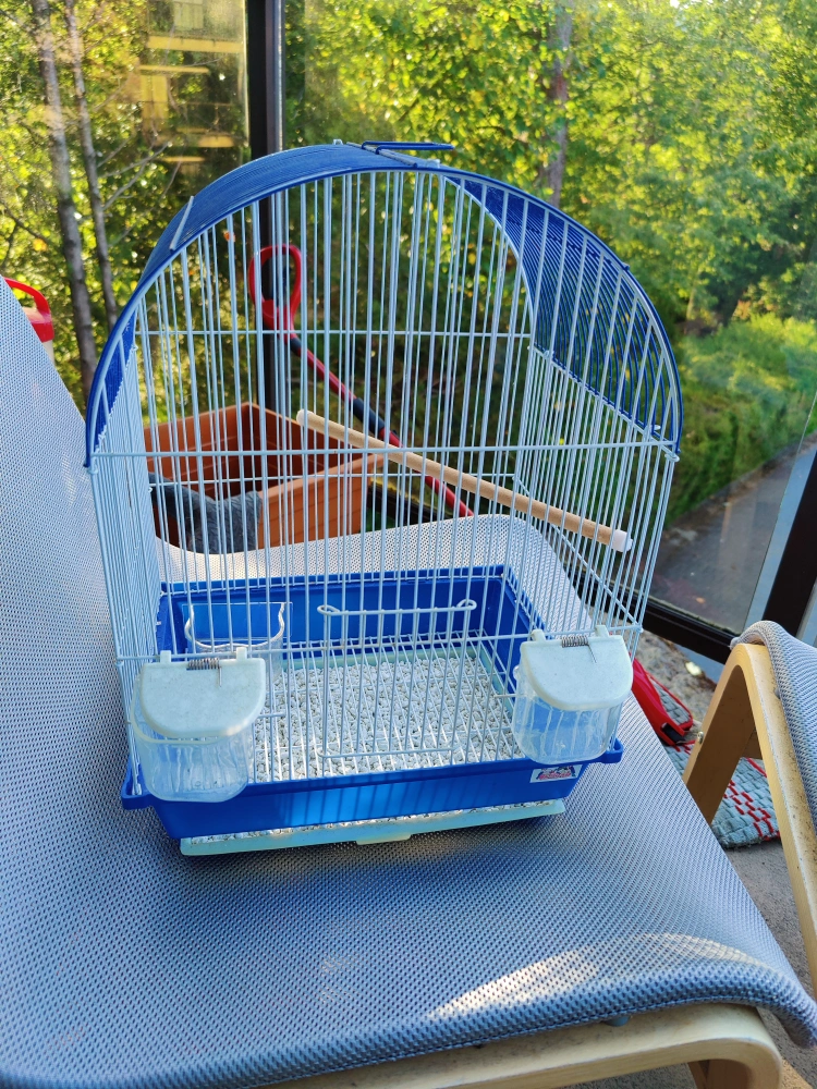 Picture Idea: Small Bird Cage Clean
