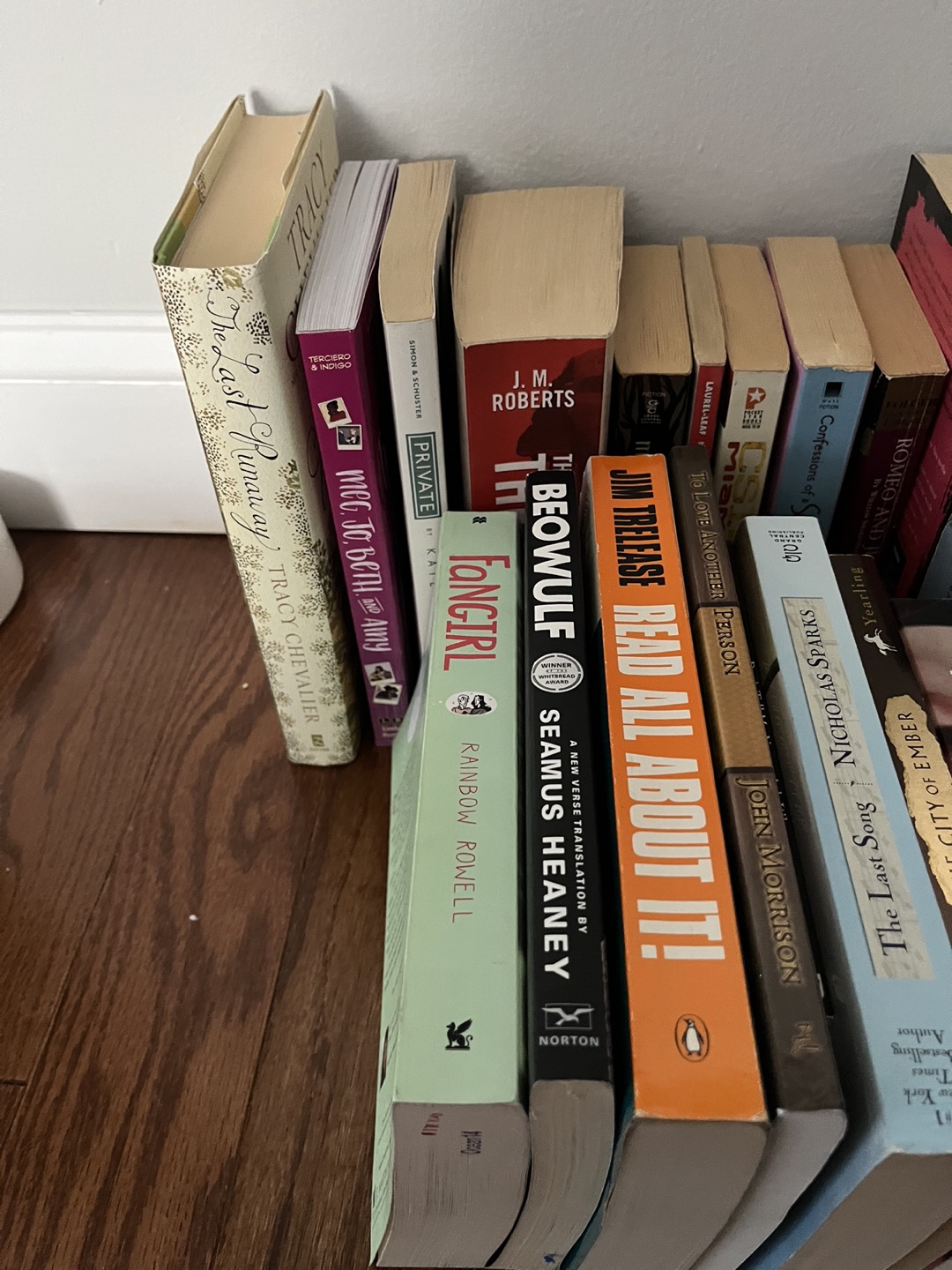 Books - photo 2