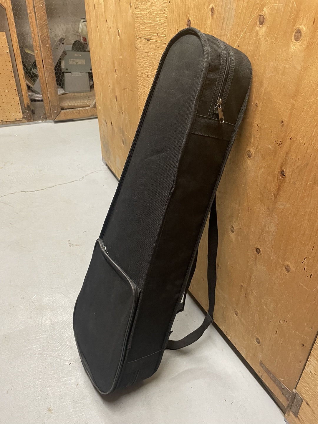 Violin with case