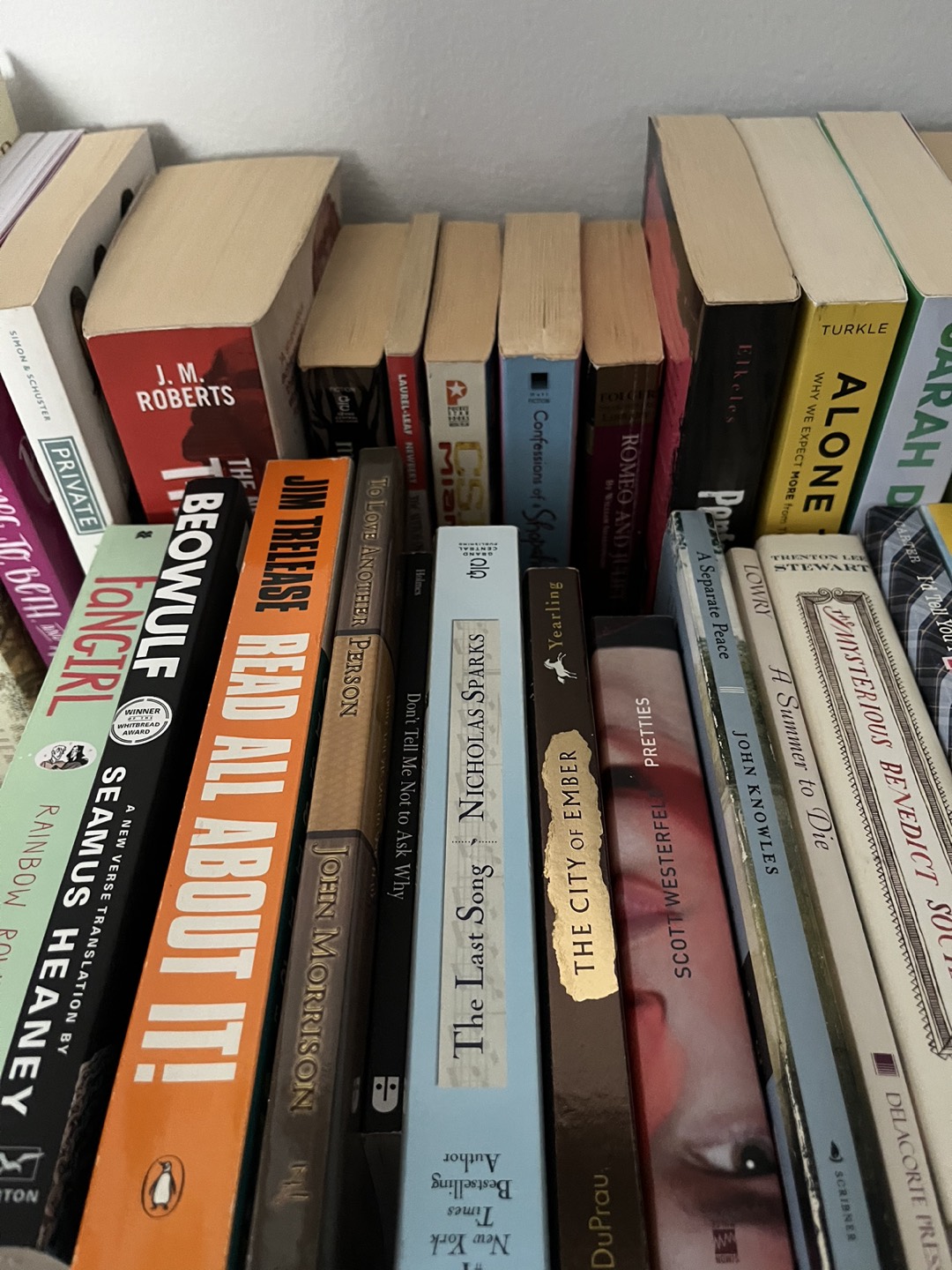 Books - photo 4