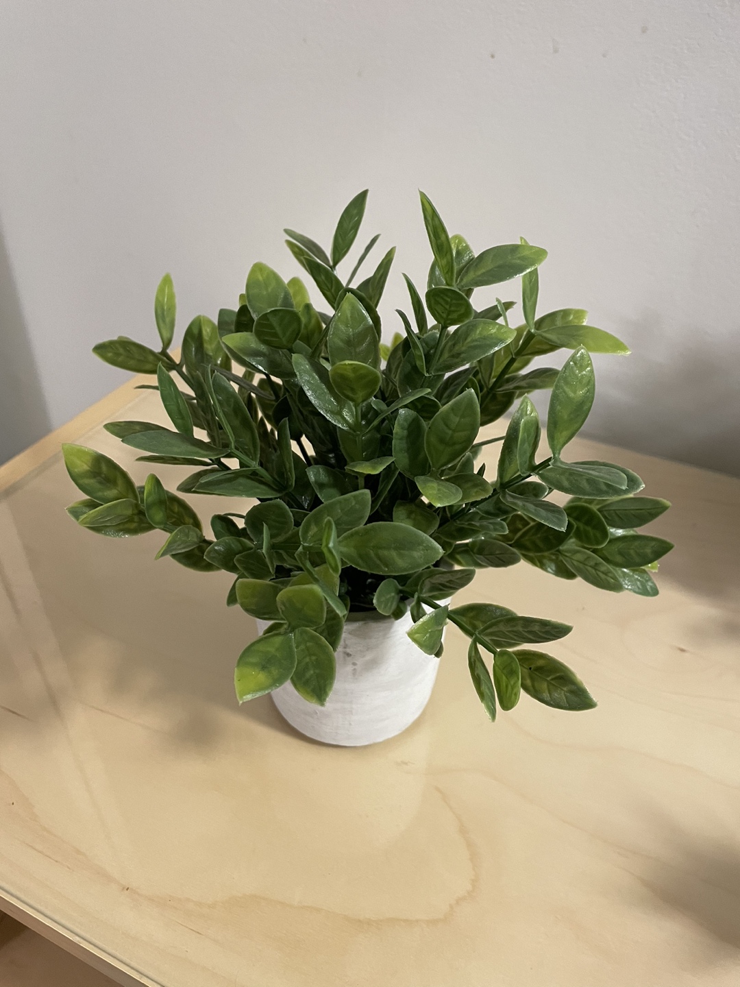 IKEA plants - photo 2