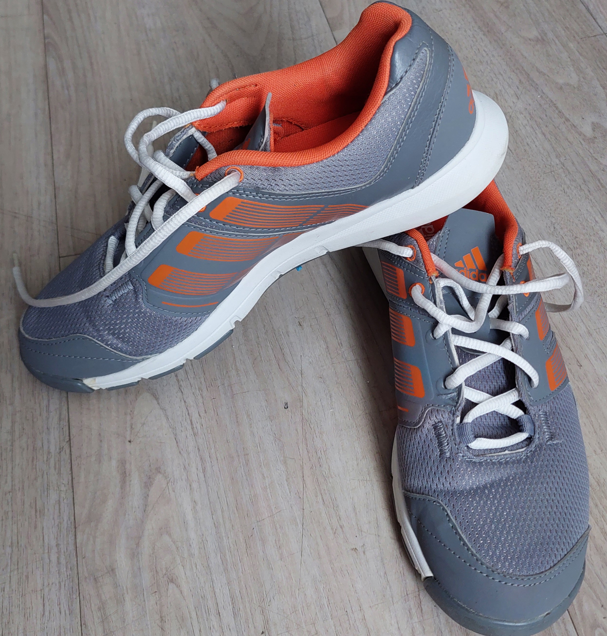 shoe