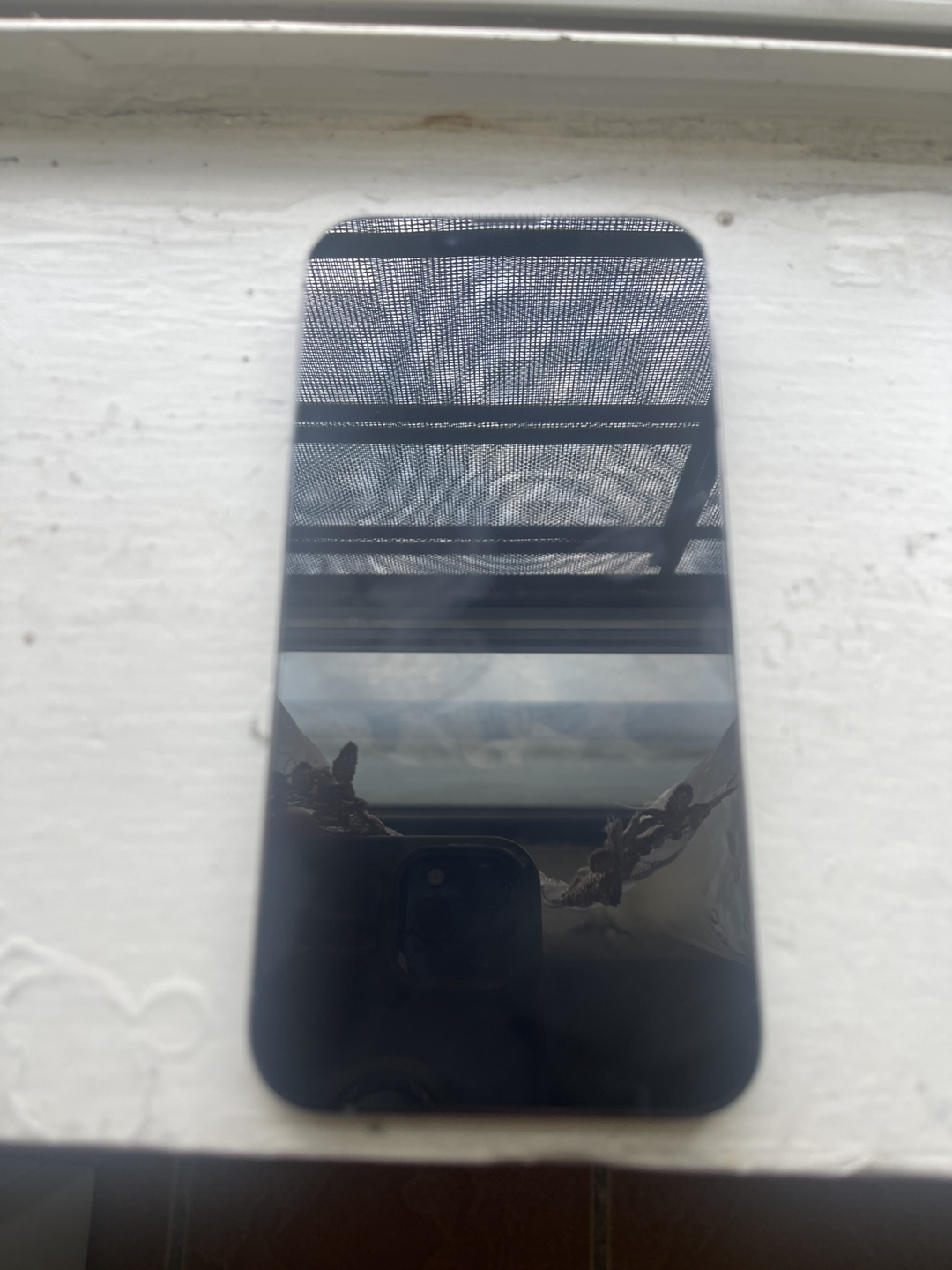 iPhone 12 Pro for parts only