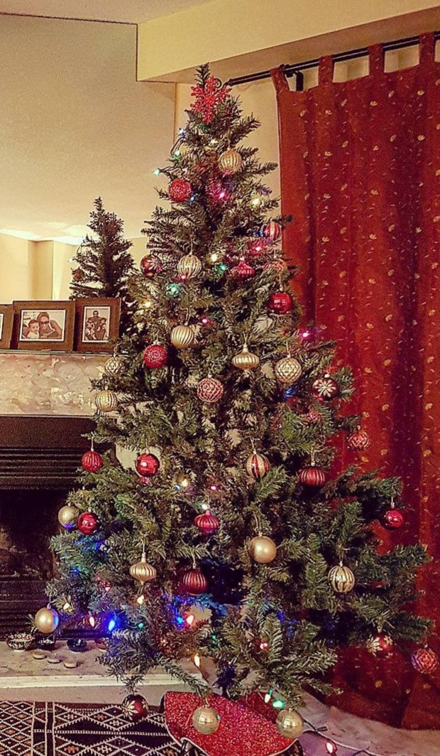 Christmas Tree with Ornaments and Lights