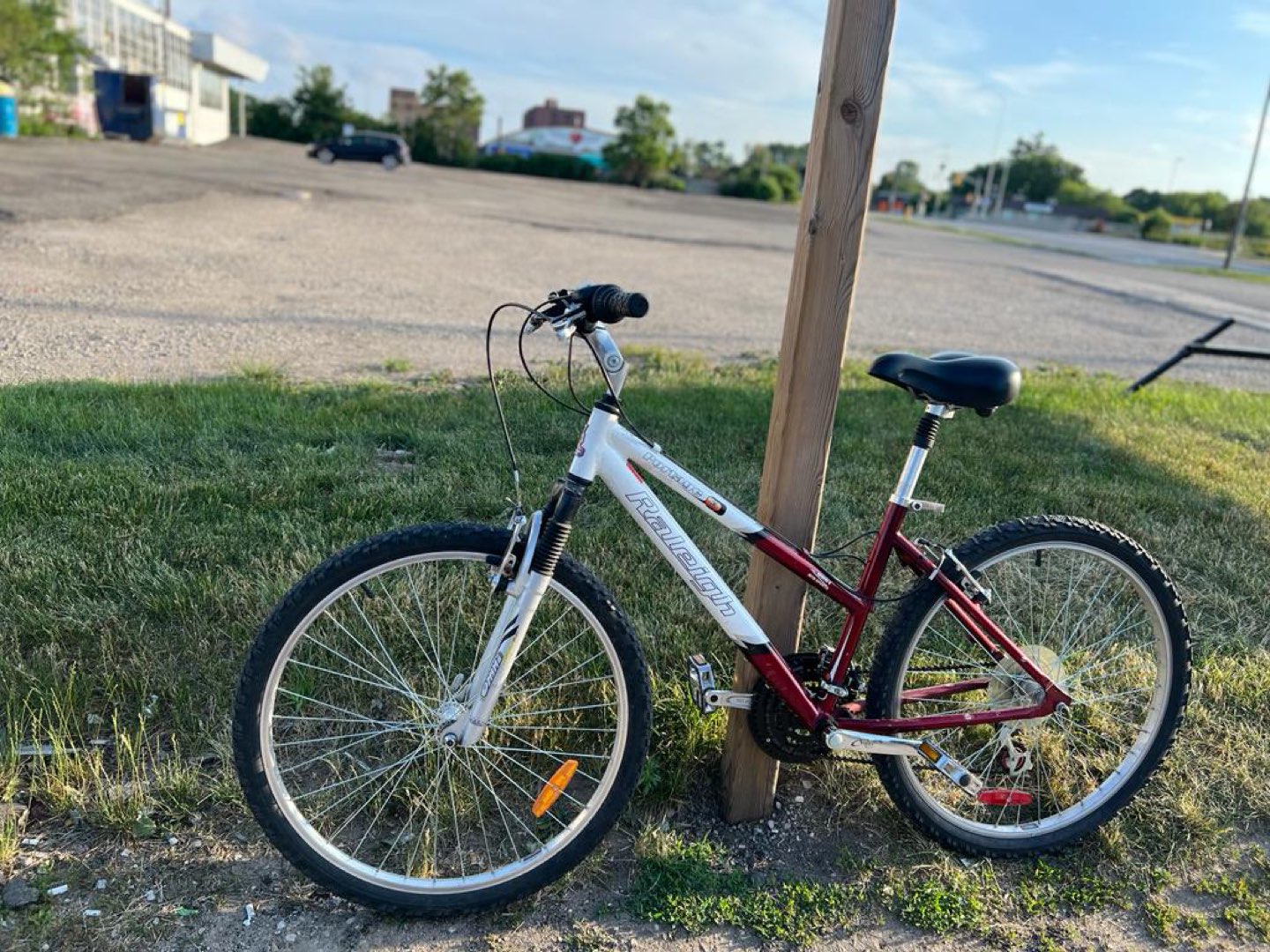 Adult bike
