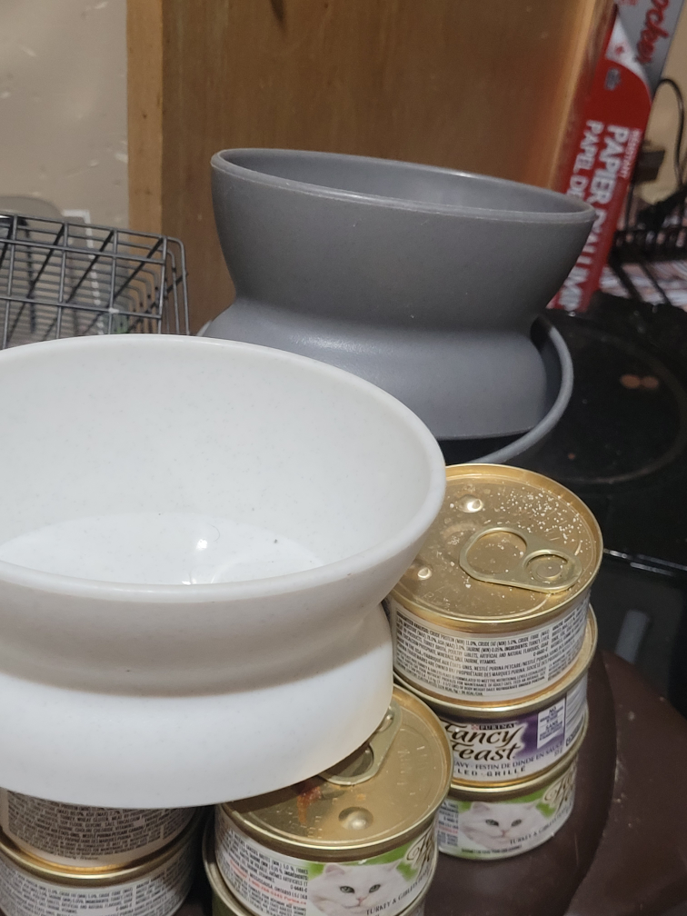 3 new food dishes, water fountain and cat food thumbnail