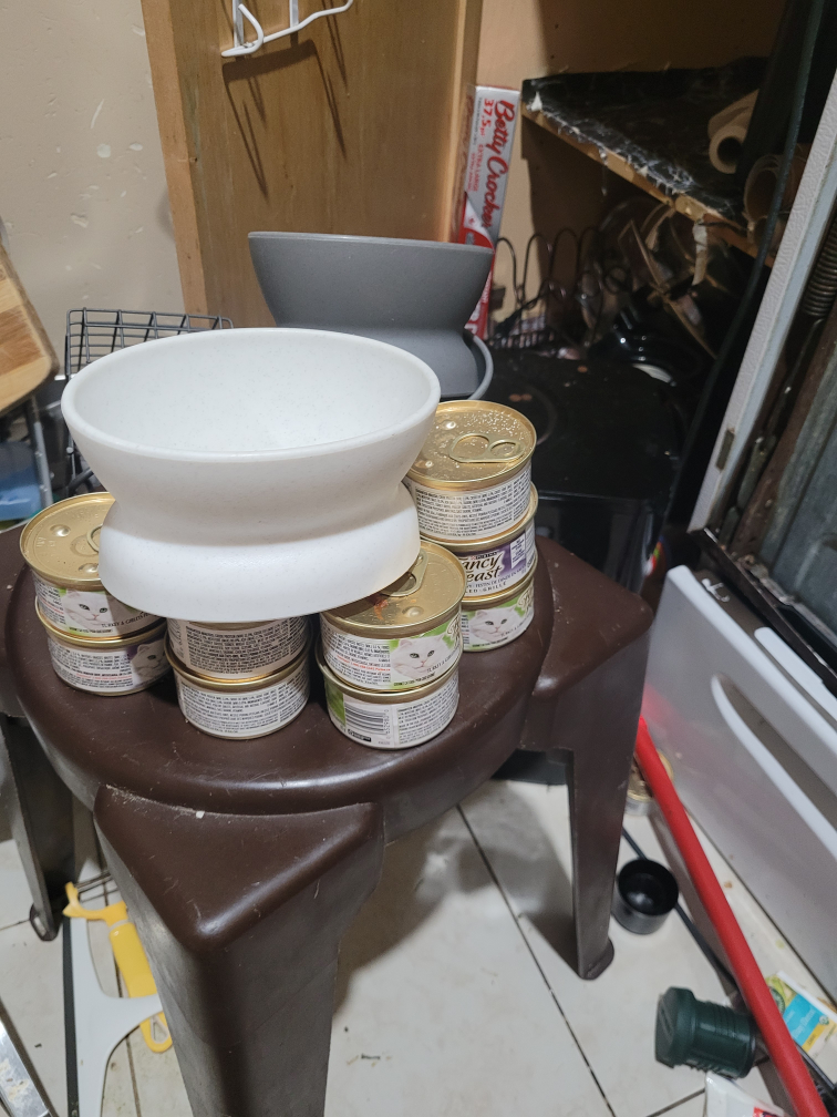 3 new food dishes, water fountain and cat food image indicator(2)