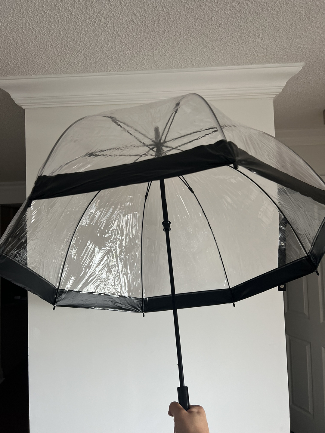 Fulton umbrella for sale - photo 2