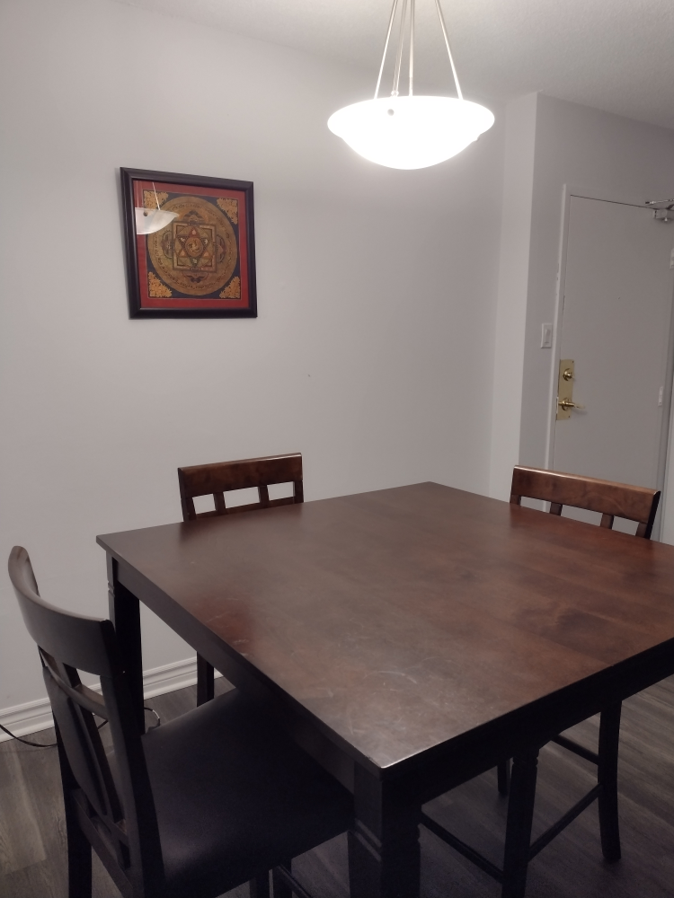 Dining Table and bar stool chairs