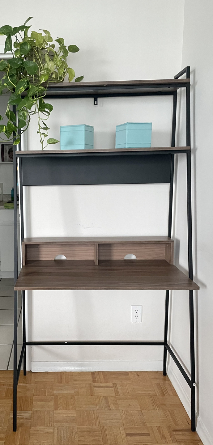 Little Italy Leaning/Ladder Desk by Trent Austin Design