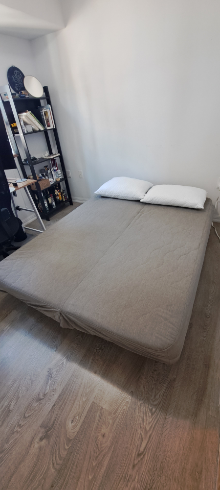 Ikea NYHAMN Sofa Bed Futon