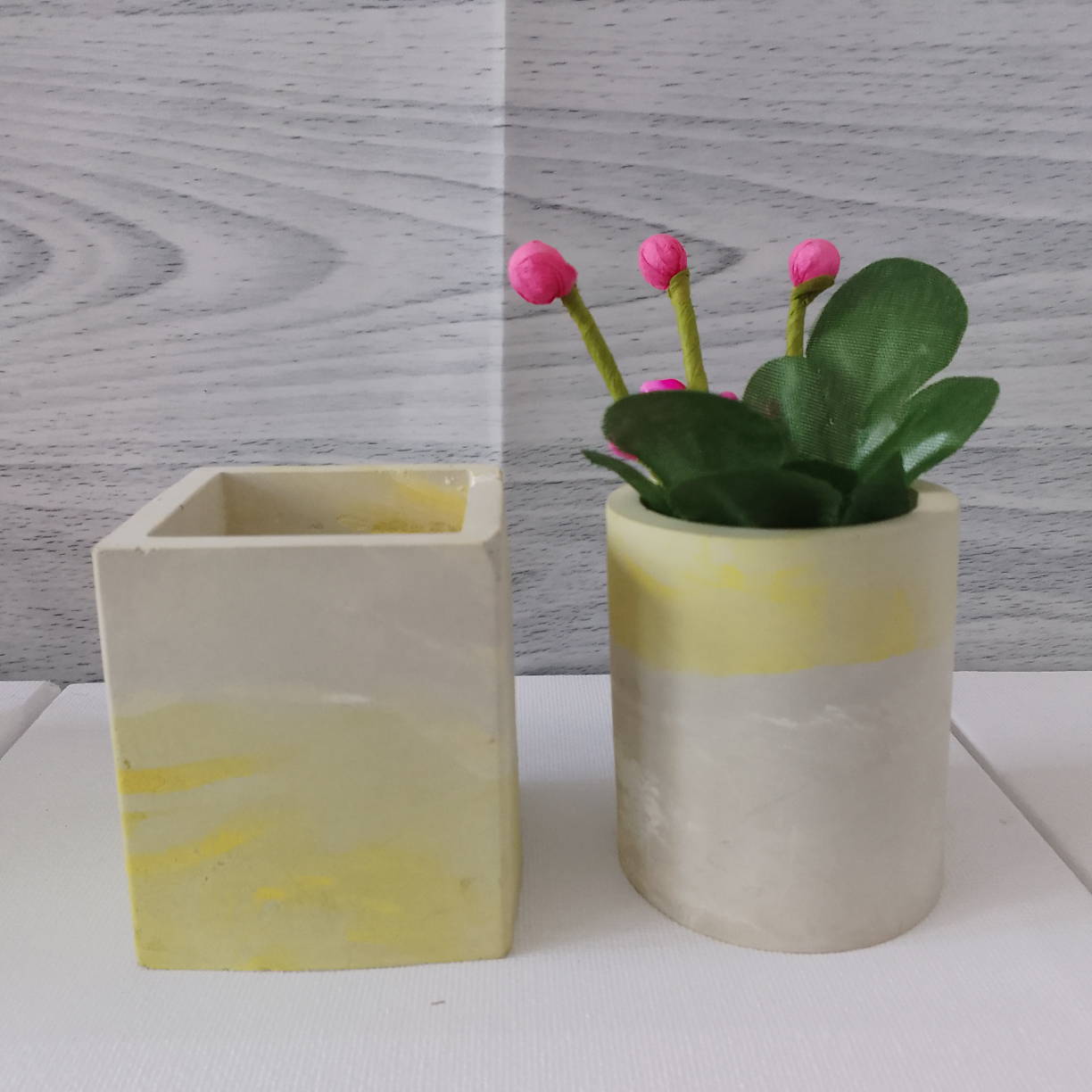 Concrete Succulent Pots💰