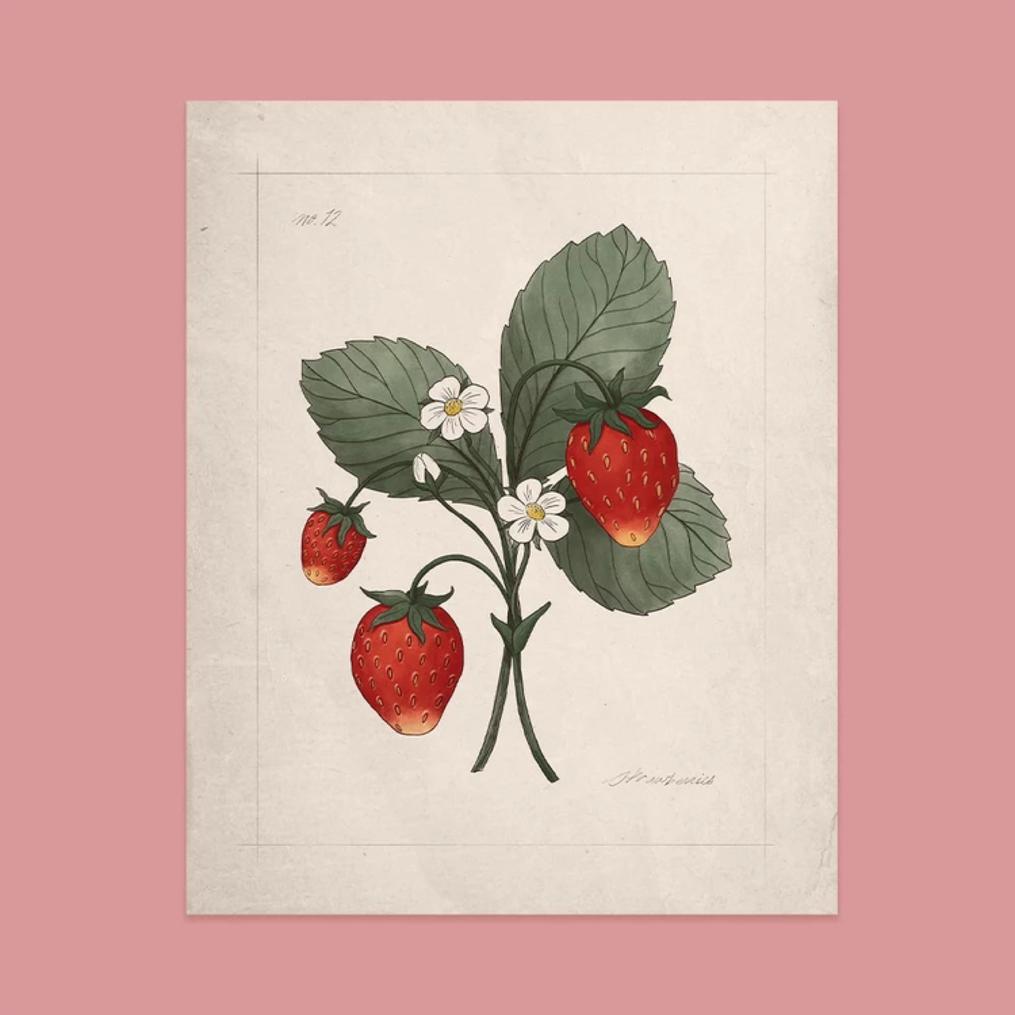 The Jilly Box Wild Strawberry Print 8 x 10 NEW thumbnail