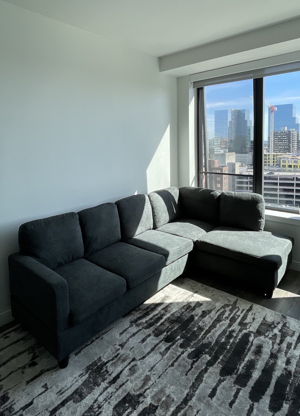 Sectional Couch