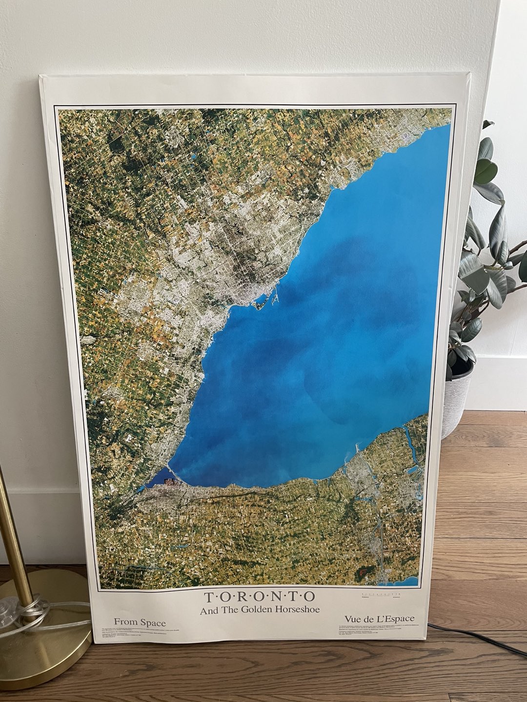 Toronto from space print