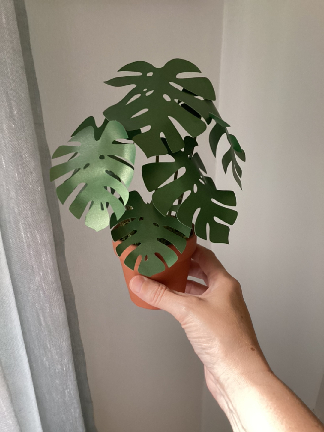 Paper Plant #freecycle thumbnail