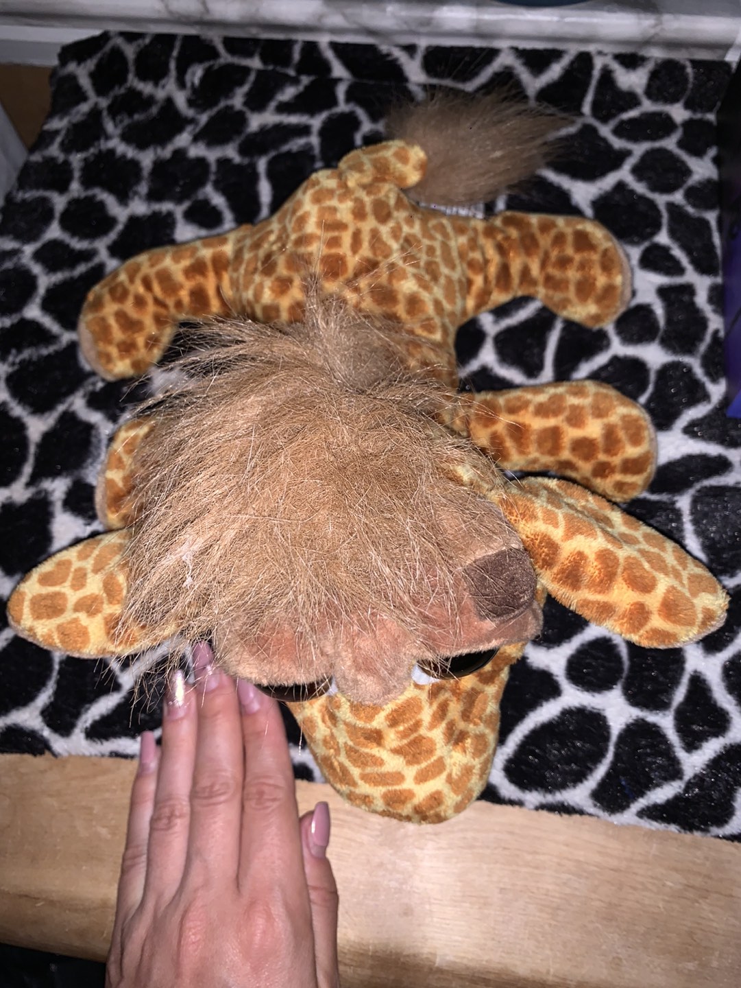 💰Baby giraffe 🦒 needs a new friend. Plush toy image indicator(3)