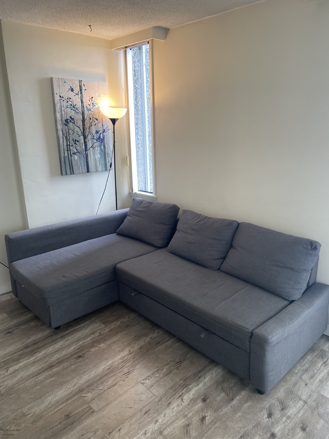 Sofa Bed w/ storage