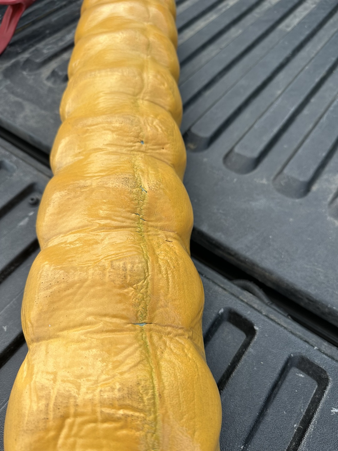 Pool Noodles - photo 2