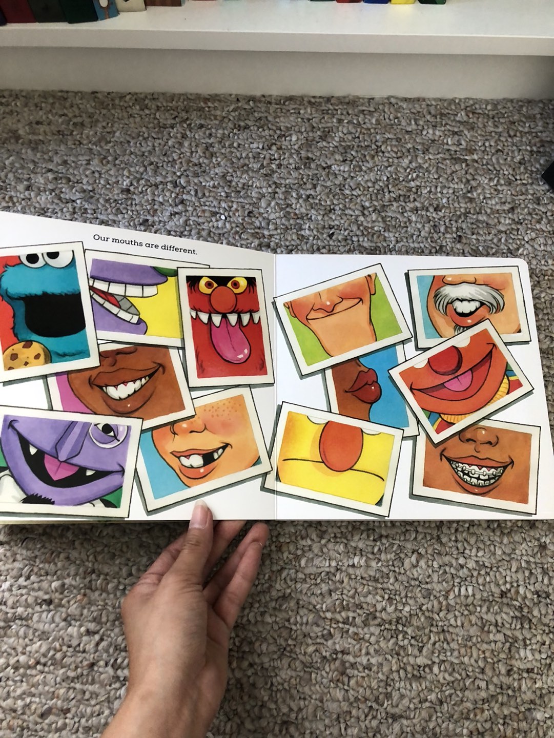 Sesame Street Boardbook - photo 4
