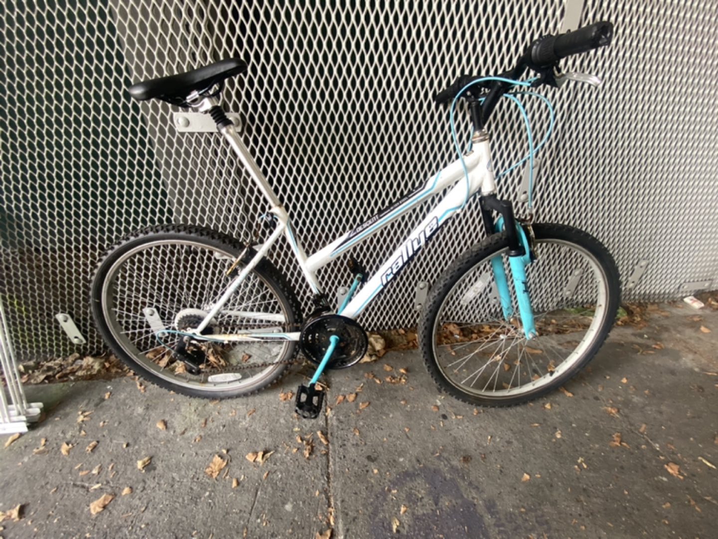 Rallye Bike Medium Frame 5’4”-5’8”