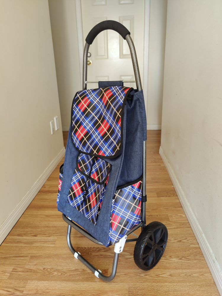 Grocery cart