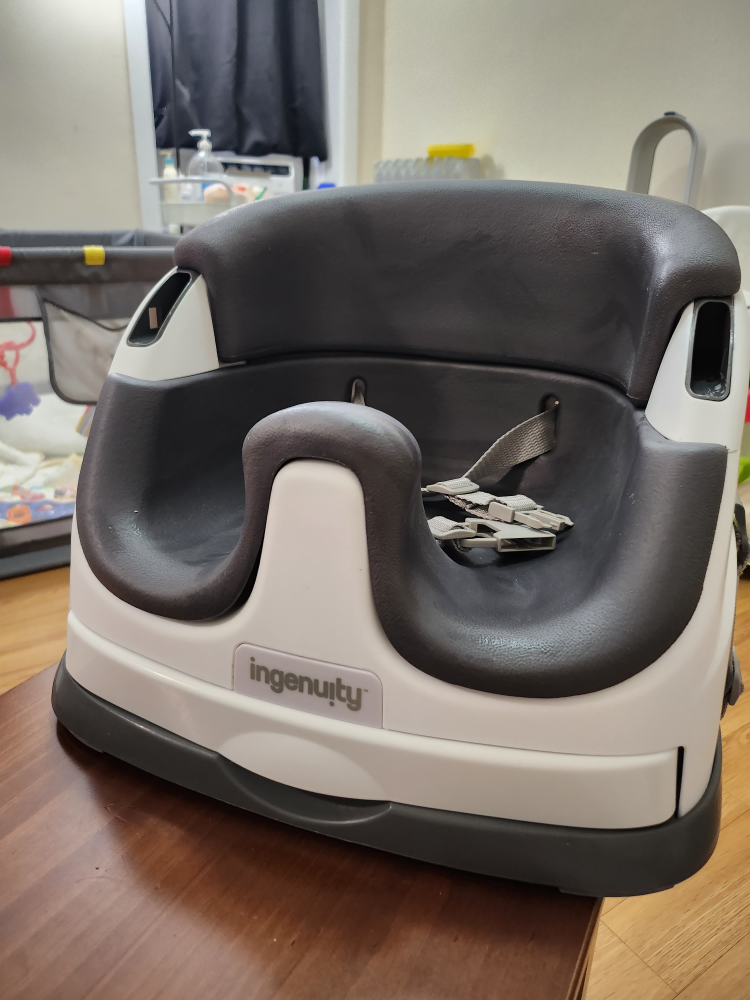 Ingenuity Booster Seat - photo 3