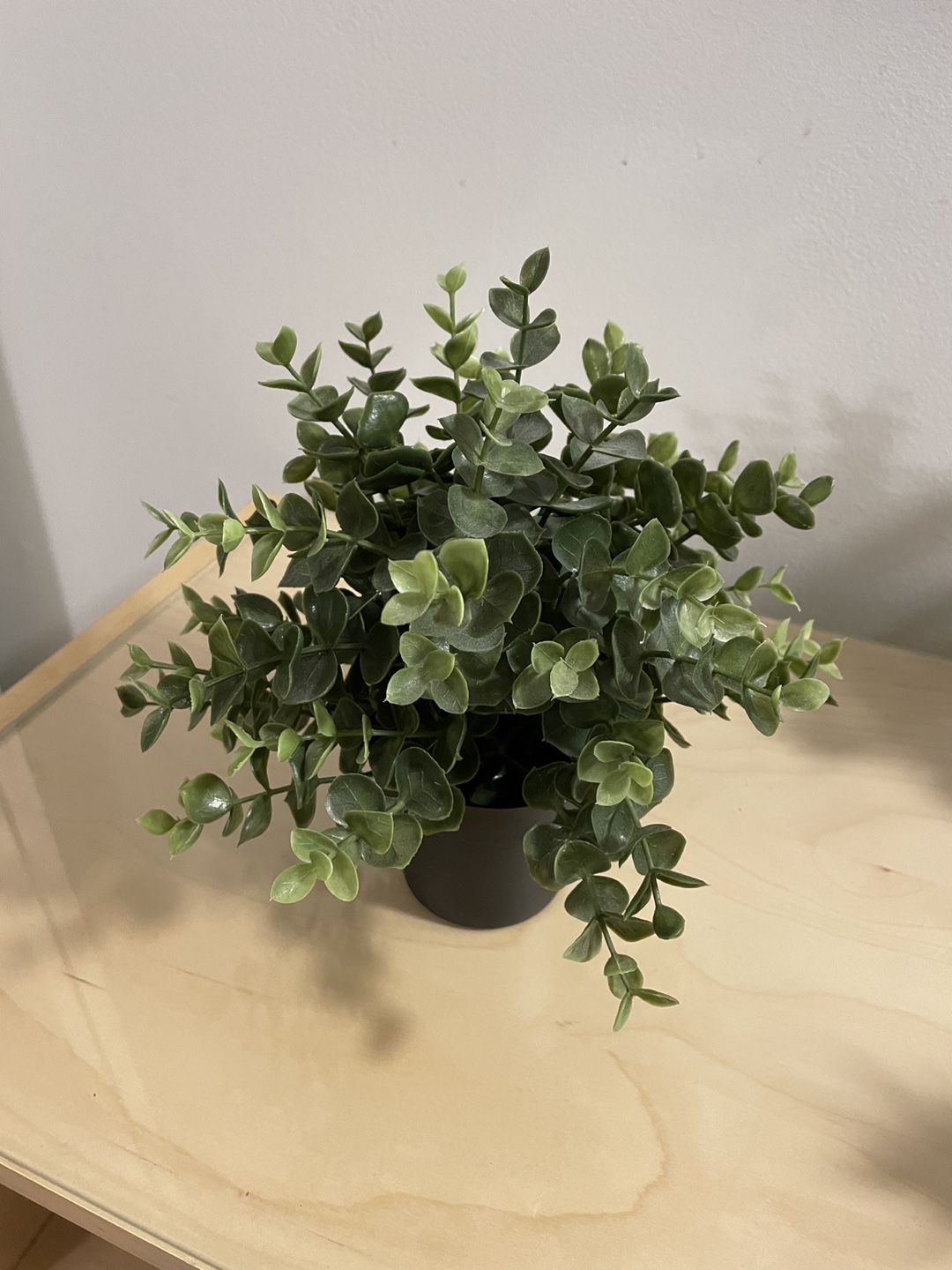 IKEA plants - photo 3