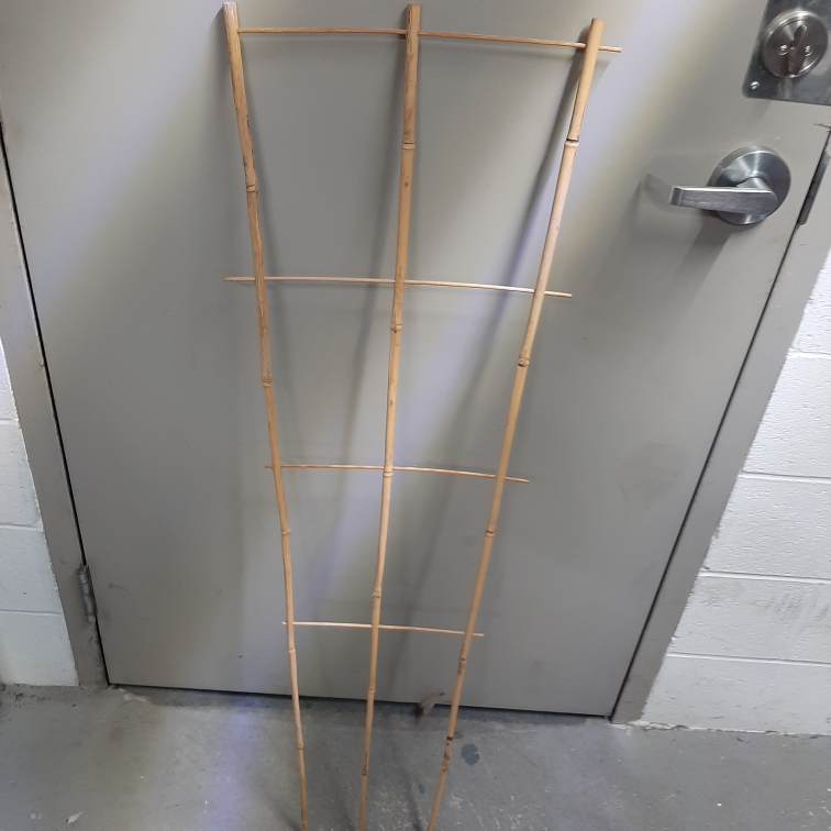 3 plant supports 