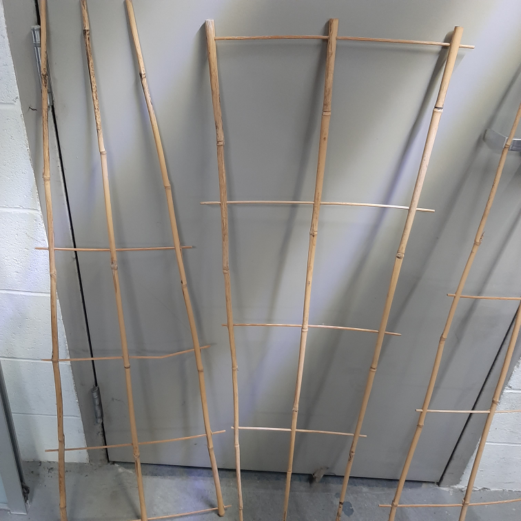 3 plant supports  - photo 2
