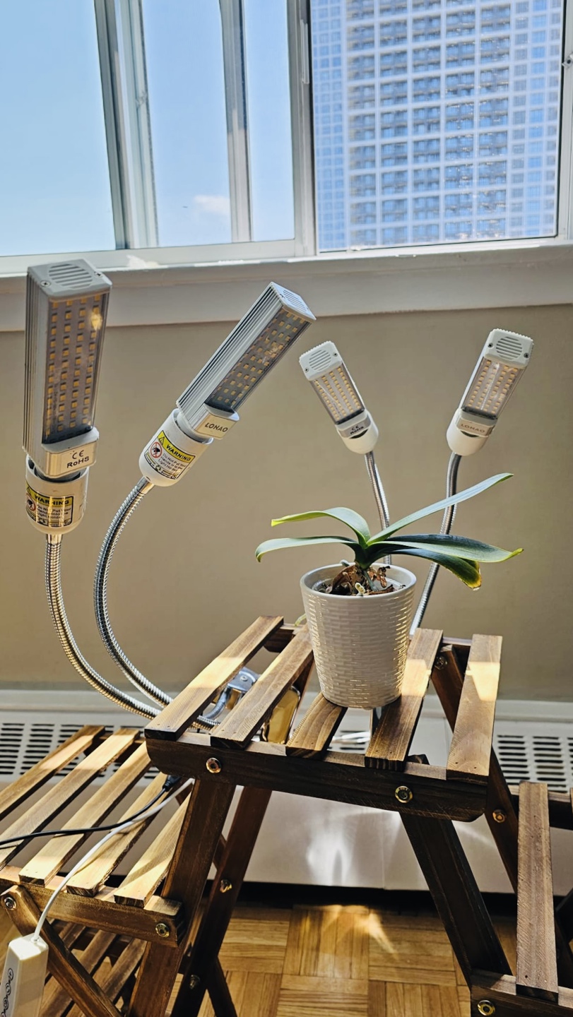 LED grow lights for indoor plants (2 lights) thumbnail