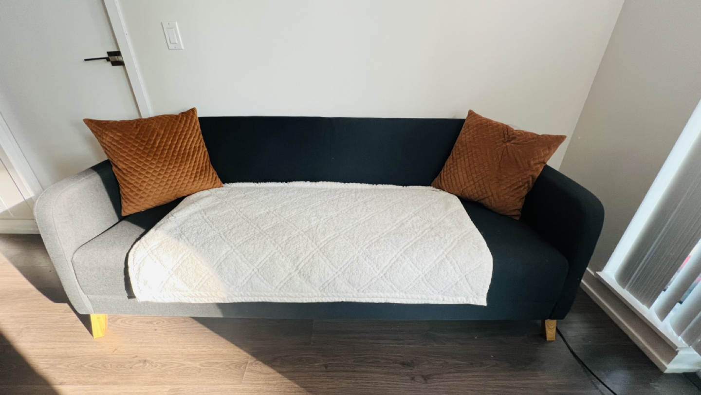 IKEA Couch