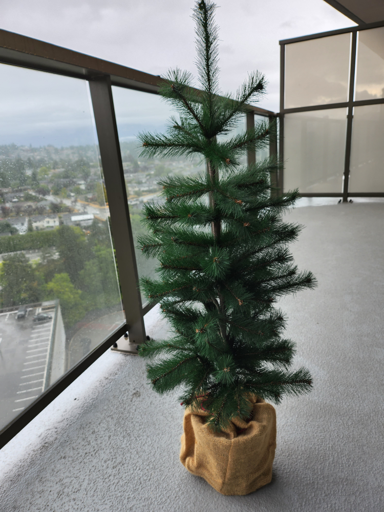 little Christmas tree #freecycle