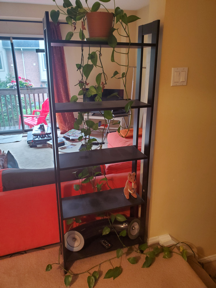 IKEA LAIVA Bookcase / Shelving Unit