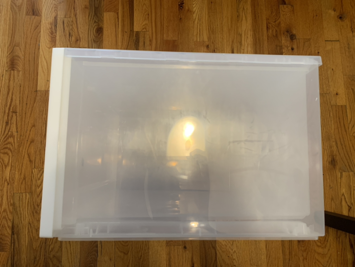 MUJI Plastic Storage Box - photo 4