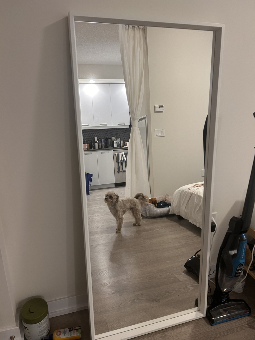 IKEA NISSEDAL full size mirror (65cm x 150) - photo 2