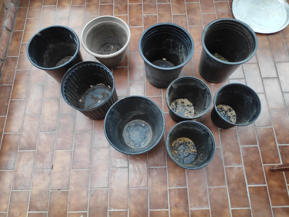 Free used plastic garden pots #freecycle image indicator(2)
