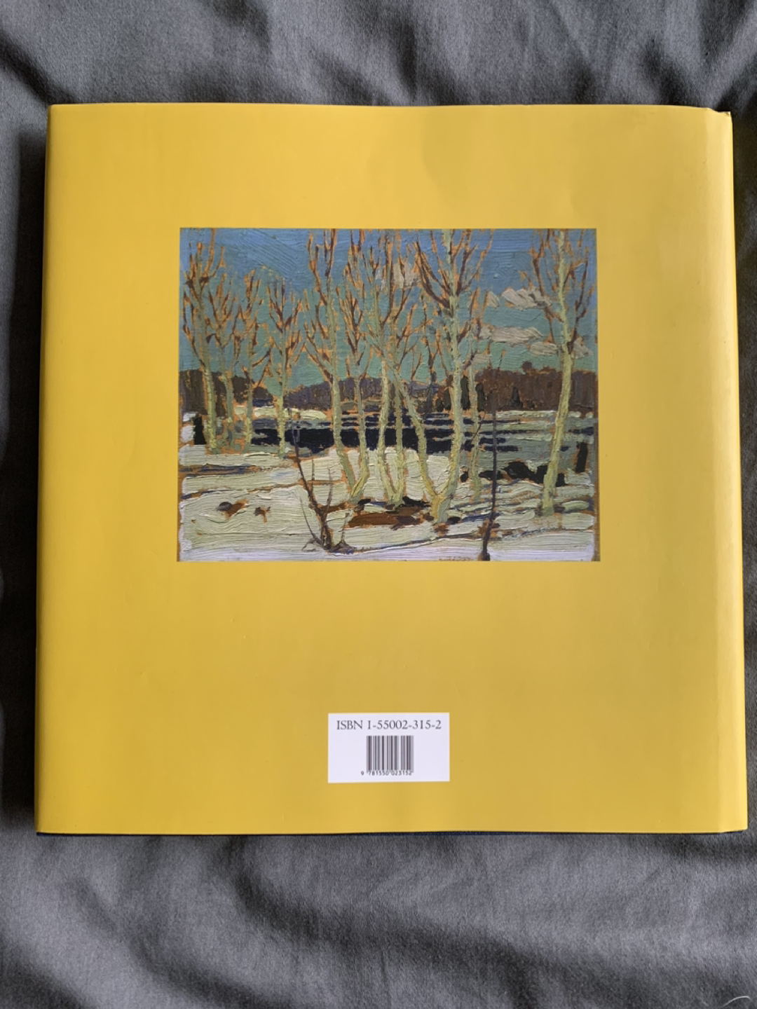 Book: Tom Thomson 💰 image indicator(2)