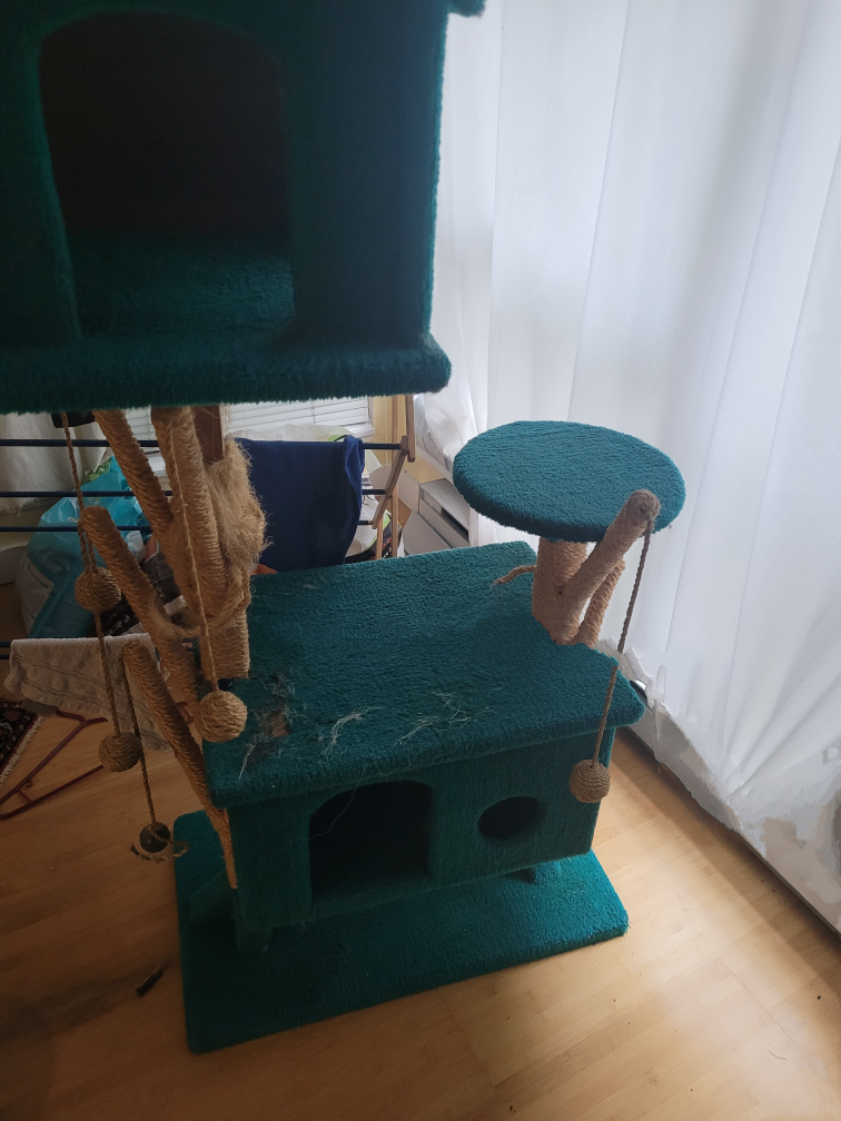 grooming aids, toys - photo 2