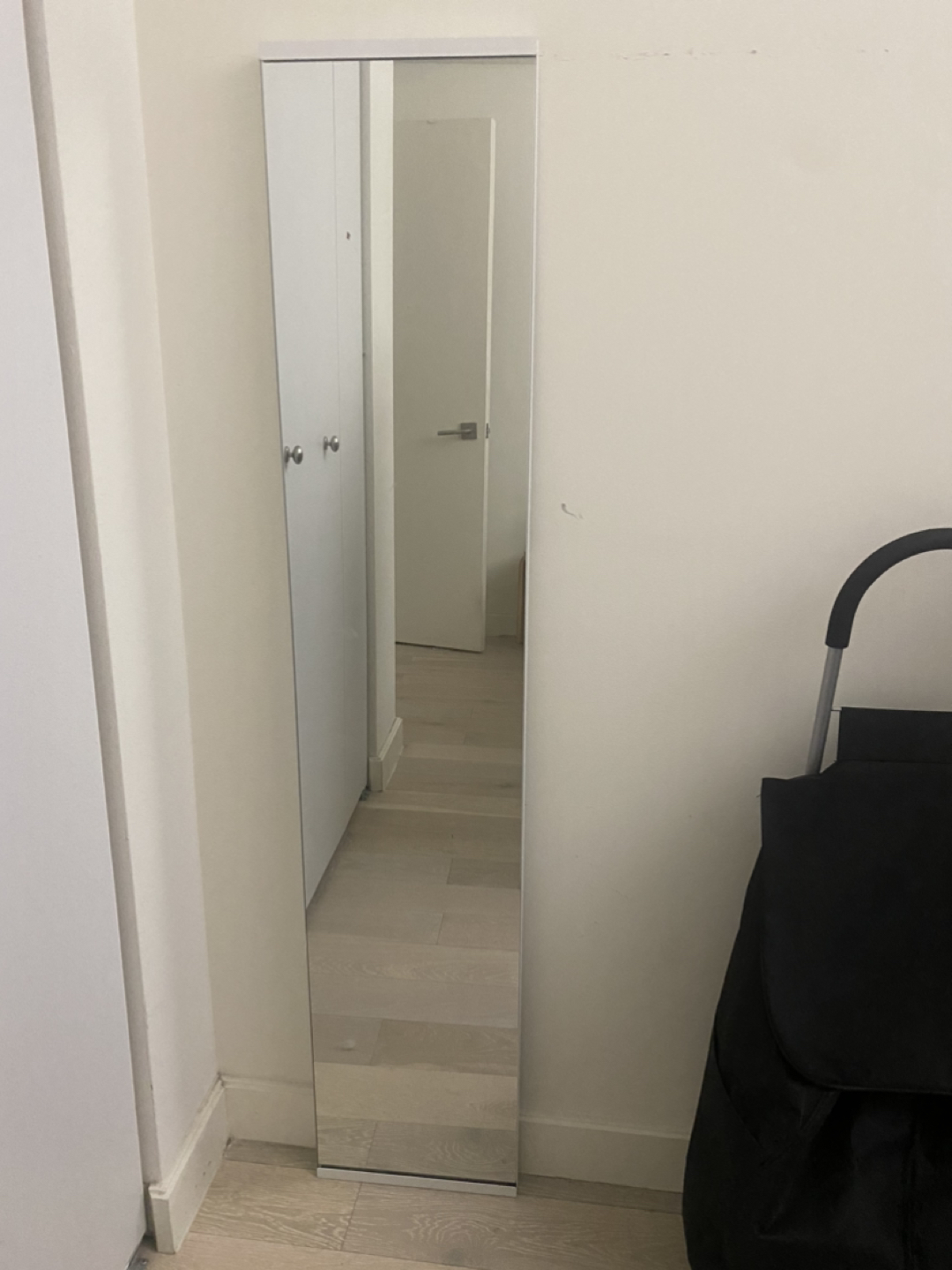 Floor Mirror